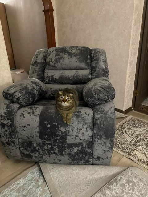 Фото покупателя